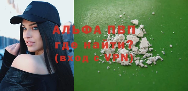 спайс Вяземский
