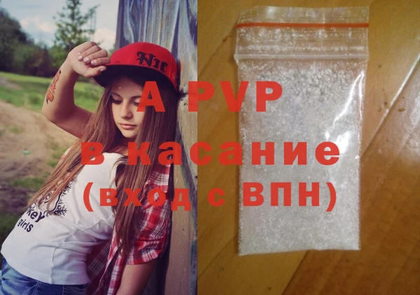спайс Вяземский