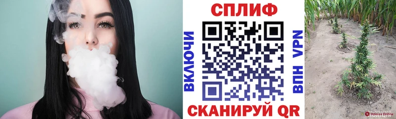 Шишки марихуана индика  цены наркотик  Макарьев 